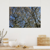 Poster Magnolia Trees, Branches et Blossom 04 (Cuisine)
