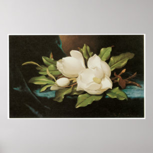 Poster Magnolias géant sur un tissu de velours bleu, vers