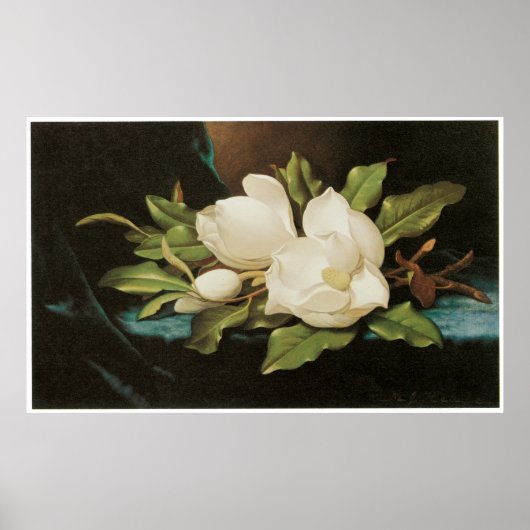 Poster Magnolias géant sur un tissu de velours bleu, vers (Devant)