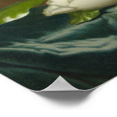 Poster Magnolias on Light Blue Velvet ,Famous Painting (Coin)