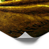 Poster Magnolias sur Veston d'or, peinture d'art (Coin)