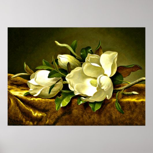 Poster Magnolias sur Veston d'or, peinture d'art (Devant)
