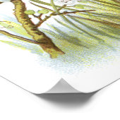 Poster Magpie (Coin)