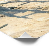 Poster Magpie (Coin)