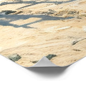 Poster Magpie (Coin)