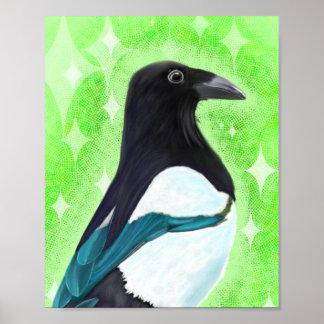 Poster Magpie curieuse