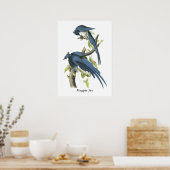 Poster Magpie Jay, John Audubon (Cuisine)