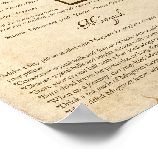 POSTER MAGWORT MAGICK HERB (Coin)