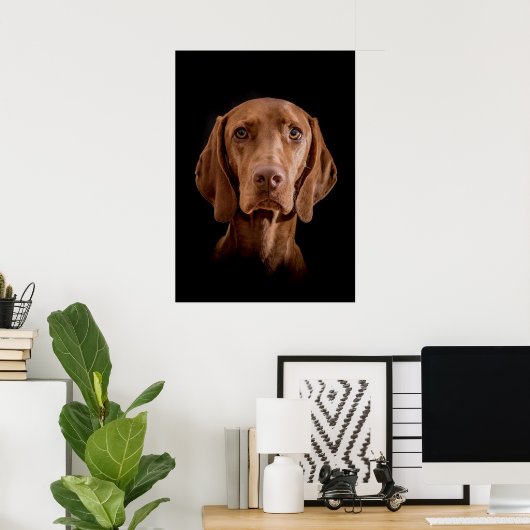 Poster Magyar Vizsla verschiedene Größen! ! (Bureau à domicile)