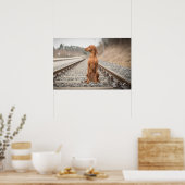 Poster Magyar Vizsla verschiedene Größen! ! (Cuisine)