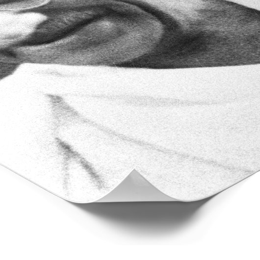 Poster Mahatma (Coin)