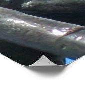 Poster Mahatma Gandhi - Citation de force (Coin)