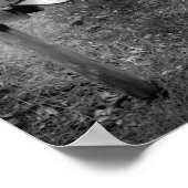 Poster Mailboxcar (Coin)