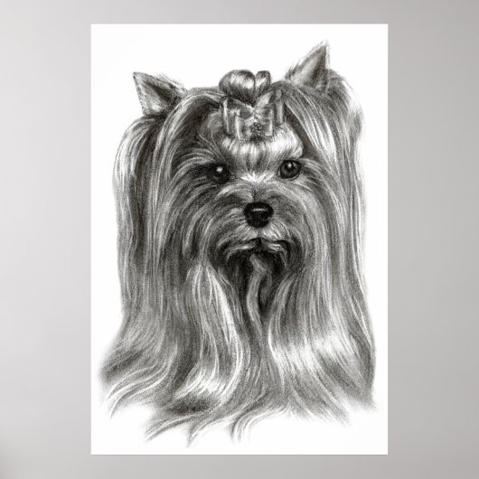 Poster Main tiré Yorkshire Terrier (Devant)