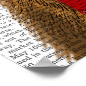 Poster Maine Coon (Coin)