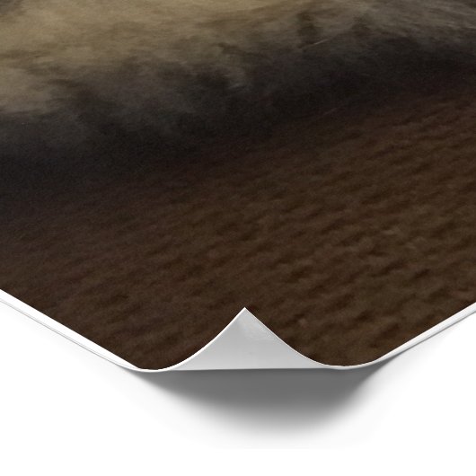 Poster Maine Coon (Coin)