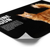 Poster Maine Coon Cat Breed (Coin)