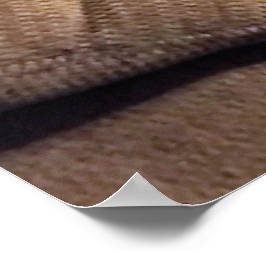 Poster Maine Coon Chat sur Sofa (Coin)