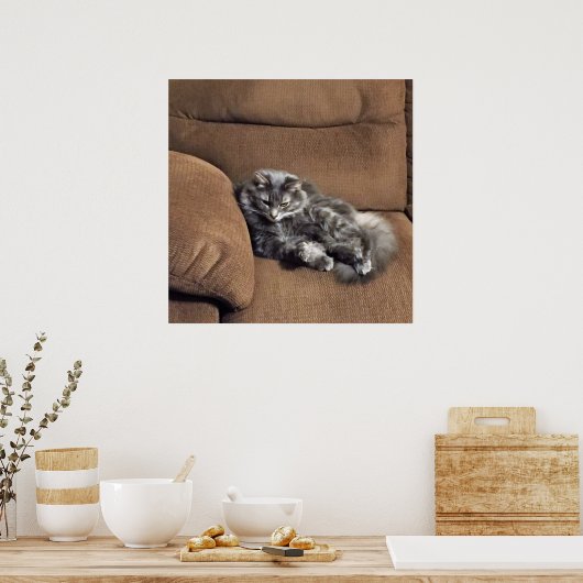 Poster Maine Coon Chat sur Sofa (Cuisine)