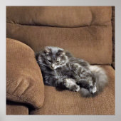 Poster Maine Coon Chat sur Sofa (Devant)