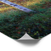 Poster Maine, Parc national de l'Acadie, automne (Coin)