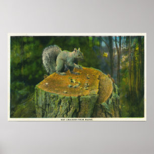 Poster Maine Un petit écureuil de Noisette du Maine