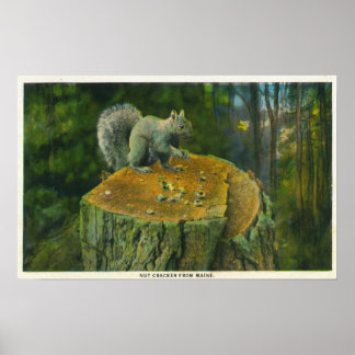 Poster Maine Un petit écureuil de Noisette du Maine