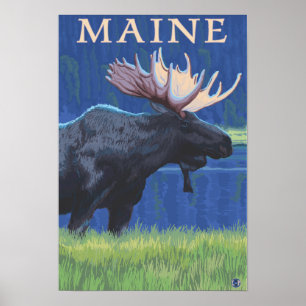 Poster MaineMoose au clair de lune