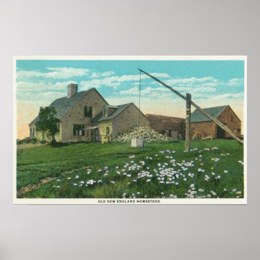 Poster MaineVue d'une ancienne ferme de la Nouvelle-Angle (Devant)