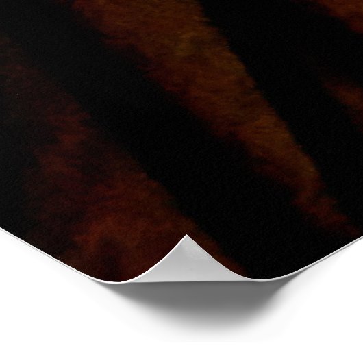 Poster Mains de tambour (Coin)