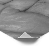 Poster Mains en noir et blanc (Coin)