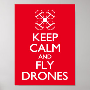 Poster Maintenez les bourdons calmes et de mouche