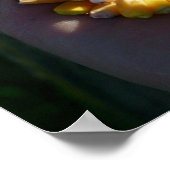 Poster maïs à double culture (Coin)