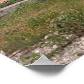 Poster Mais dans vos coeurs, séparez le Christ comme Seig (Coin)