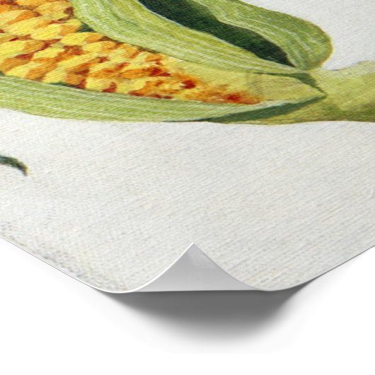 Poster Maïs doux 2013 (Coin)