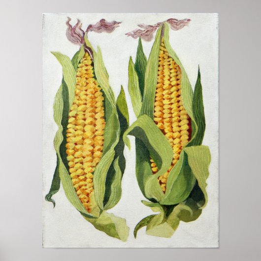 Poster Maïs doux 2013 (Devant)