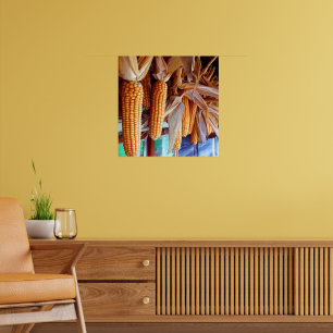 Poster Maïs entier sec avec spathes