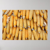 Poster Maïs séché empilé. (Devant)