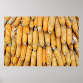 Poster Maïs séché empilé. (Devant)