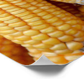 Poster Maïs séché empilé. (Coin)