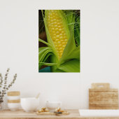 Poster Maïs sur la côte (Cuisine)