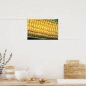 Poster Maïs sur la côte (Cuisine)