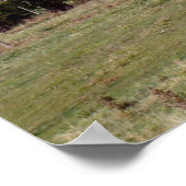 Poster Maison abandonnée dans le pays (Coin)