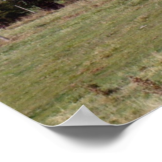 Poster Maison abandonnée dans le pays (Coin)