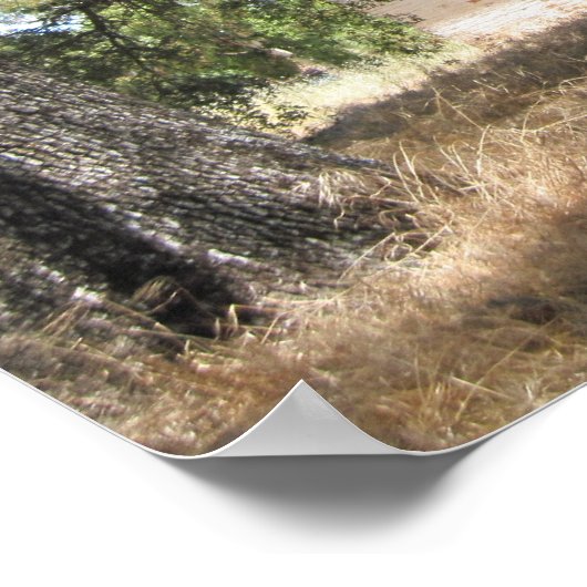 Poster : Maison abandonnée sur 46 W à Paso Robles (Coin)