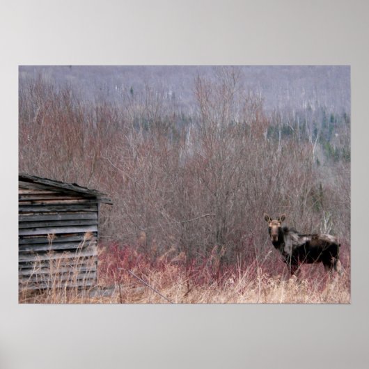 Poster maison ancienne et orignal (Devant)