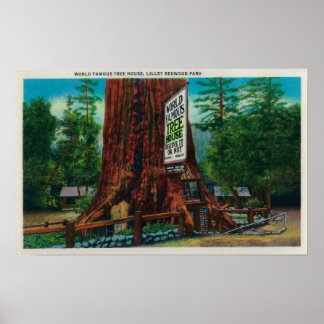 Poster Maison Arbre Célèbre Mondiale, Lilley Redwood Park
