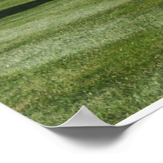 POSTER MAISON BLANCHE (Coin)