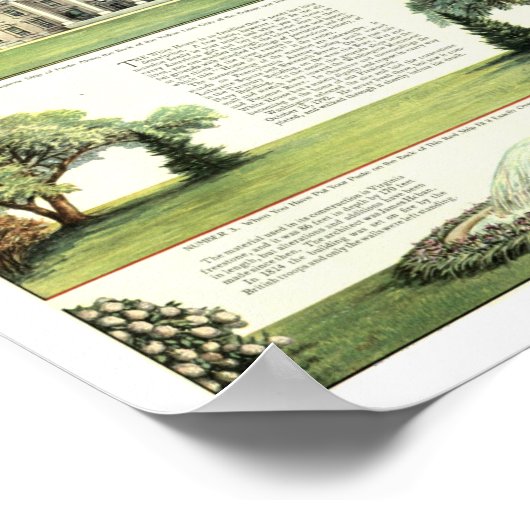 Poster Maison Blanche (Coin)