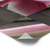 Poster Maison Blanche Lily Red Plante (Coin)